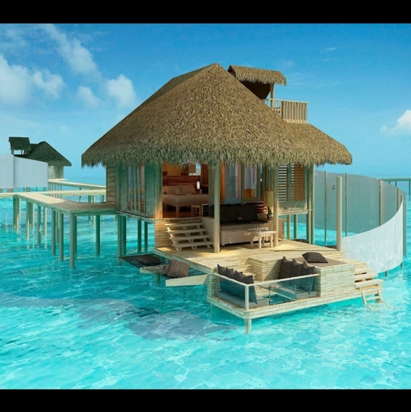 Meet your Posher, Athena - Picture 1 of 1